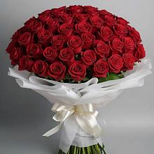 Букет 101 Красная роза Блэк Мэджик #REPLACE_PRED# Знаменске