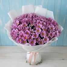 Букет цветов из:  Хризантемы в Знаменске