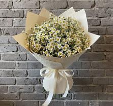 Букет цветов из:  Ромашки в Знаменске