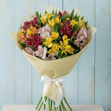 Букет цветов из:  Альстромерии #REPLACE_PRED# Знаменске