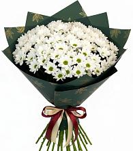 Букет цветов из:  Хризантемы в Знаменске