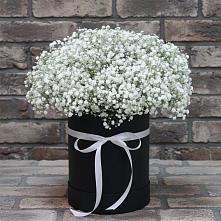 Цветочная композиция из Гипсофила в шляпной коробке в Знаменске