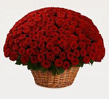 Премиум букет из: Розы #REPLACE_PRED# Знаменске