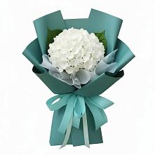 Букет цветов из:  Гортензия #REPLACE_PRED# Знаменске